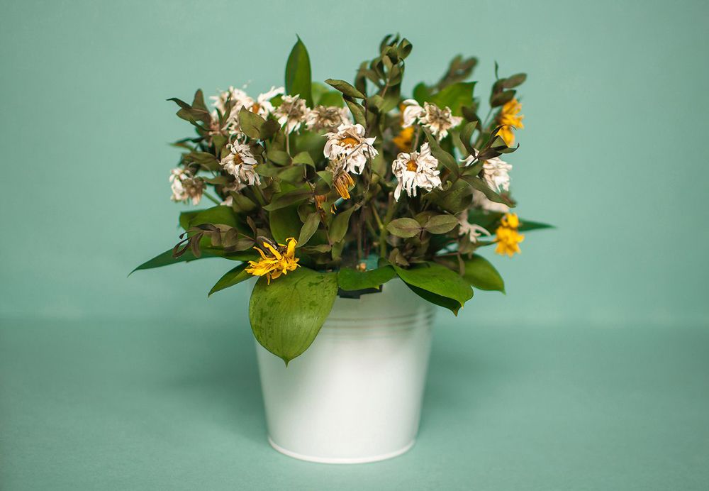 Photograph by Сергей Карабанов