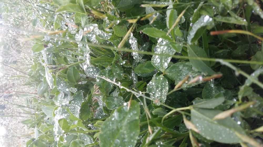 Photograph by Ксения Цветкова