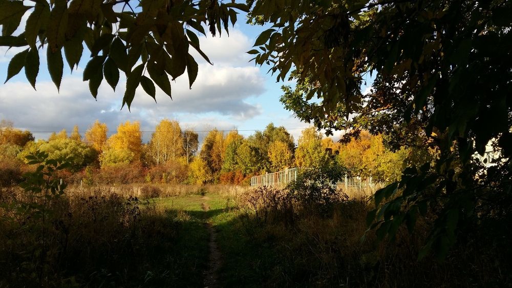 Photograph by Ксения Цветкова