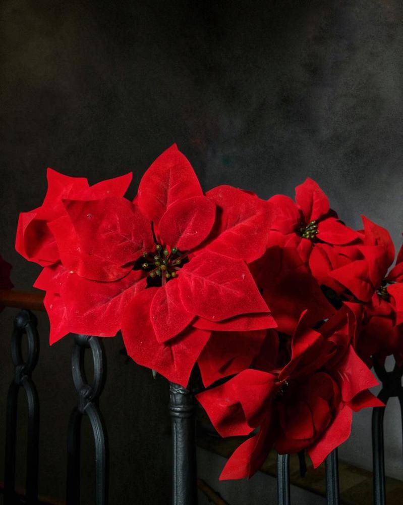 Итальяно-рождественский натюрморт