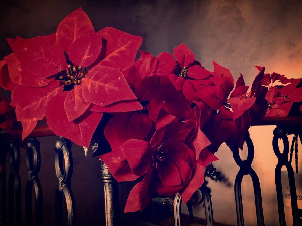 Итальяно-рождественский натюрморт