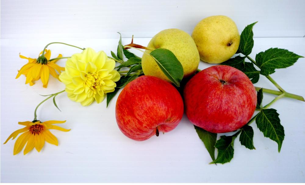 НЕОЖИДАННОЕ СОЧЕТАНИЕ