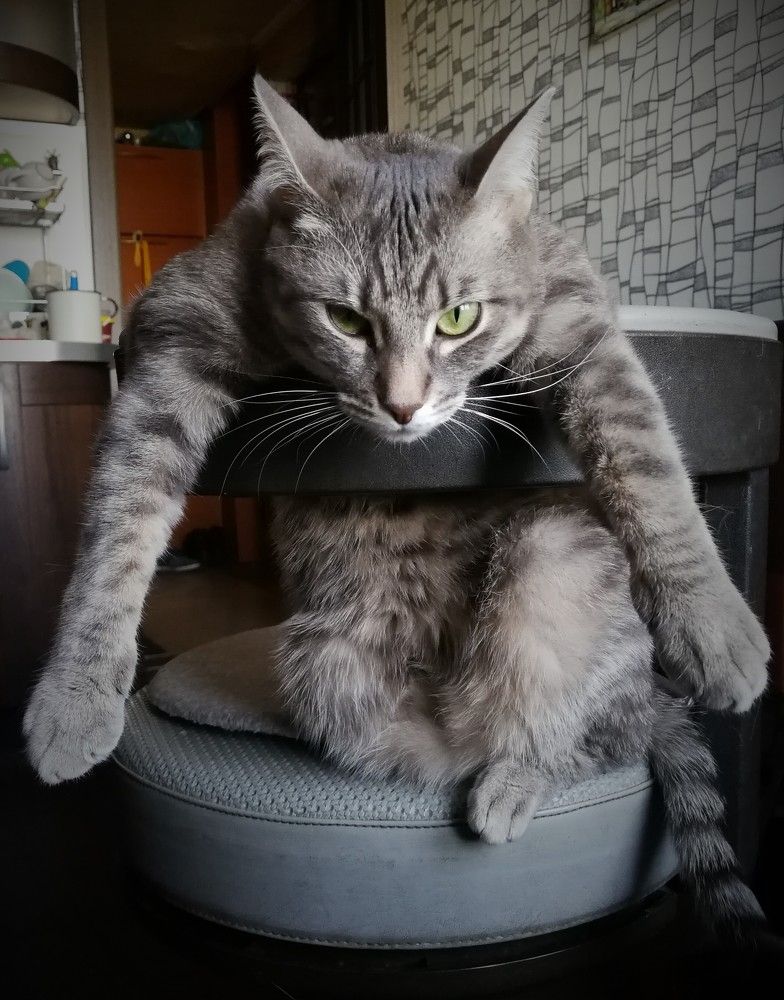 Photograph by Ирина Толмачева
