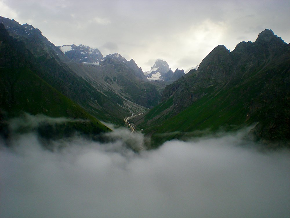 вечерний туман