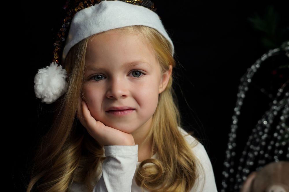 Новогодний портрет