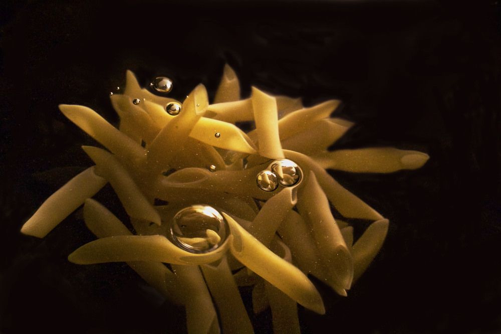 Moment, a point in time at which something happens