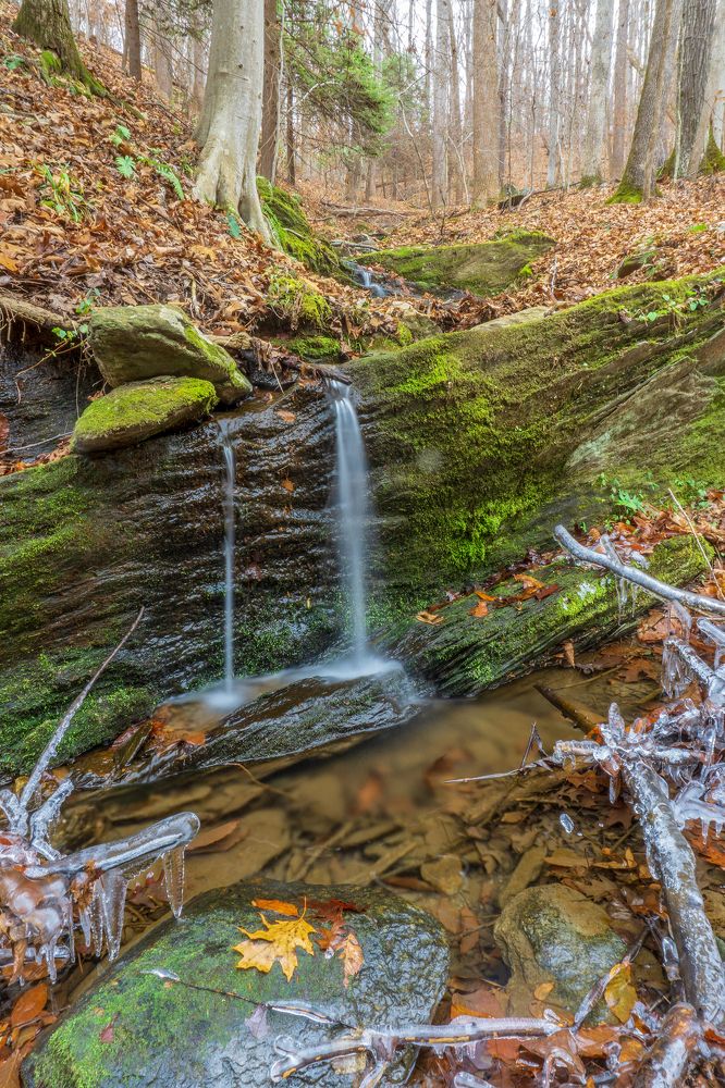 Photograph by Dmitry Tilt