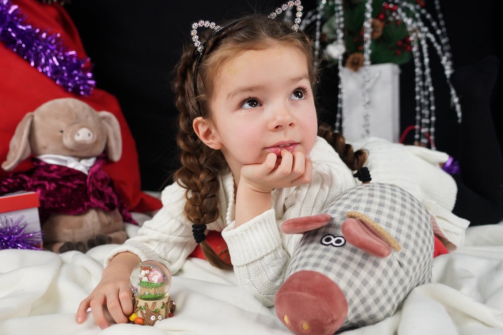 Новогодние мечтания