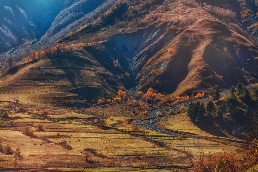 Photograph by ирина лебедева