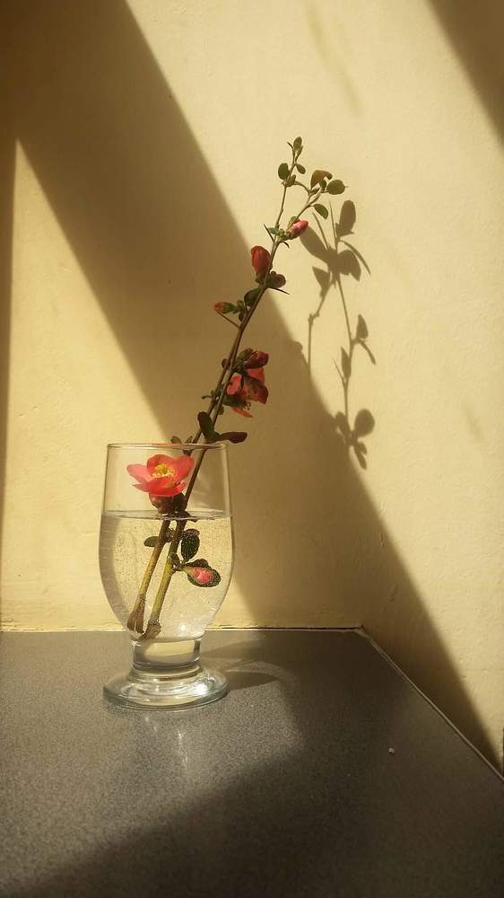 Треугольник.