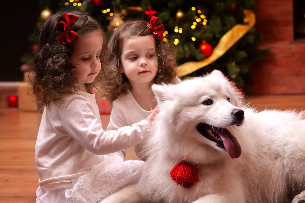 Photograph by Евгения Лебеденко