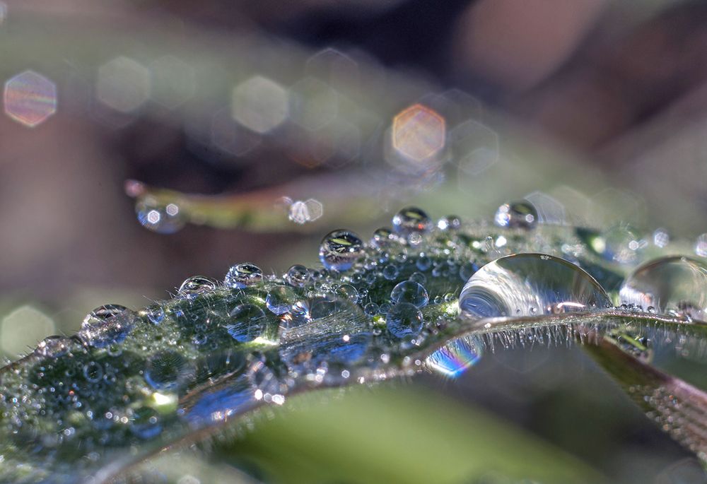 Капельные россыпи.