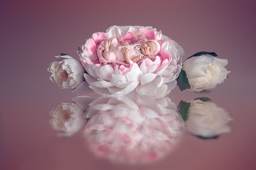 Долгожданный цветочек