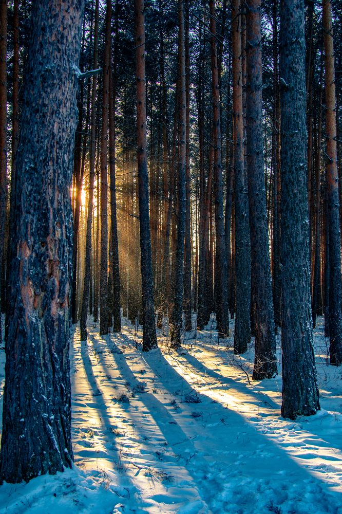 Photograph by Щербакова Галина