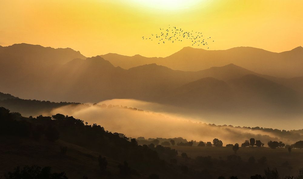 Sunrise