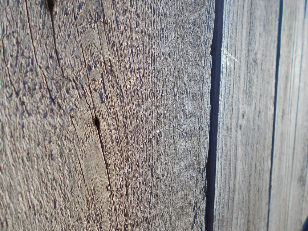 Photo #2760469