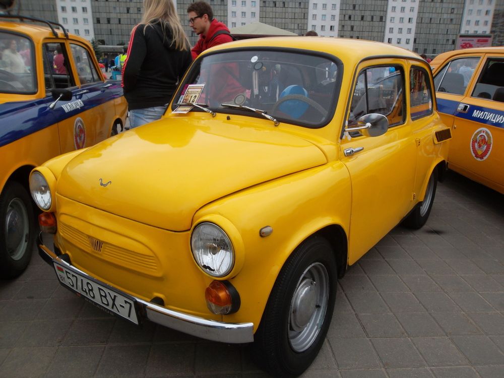 Солнечный заяц