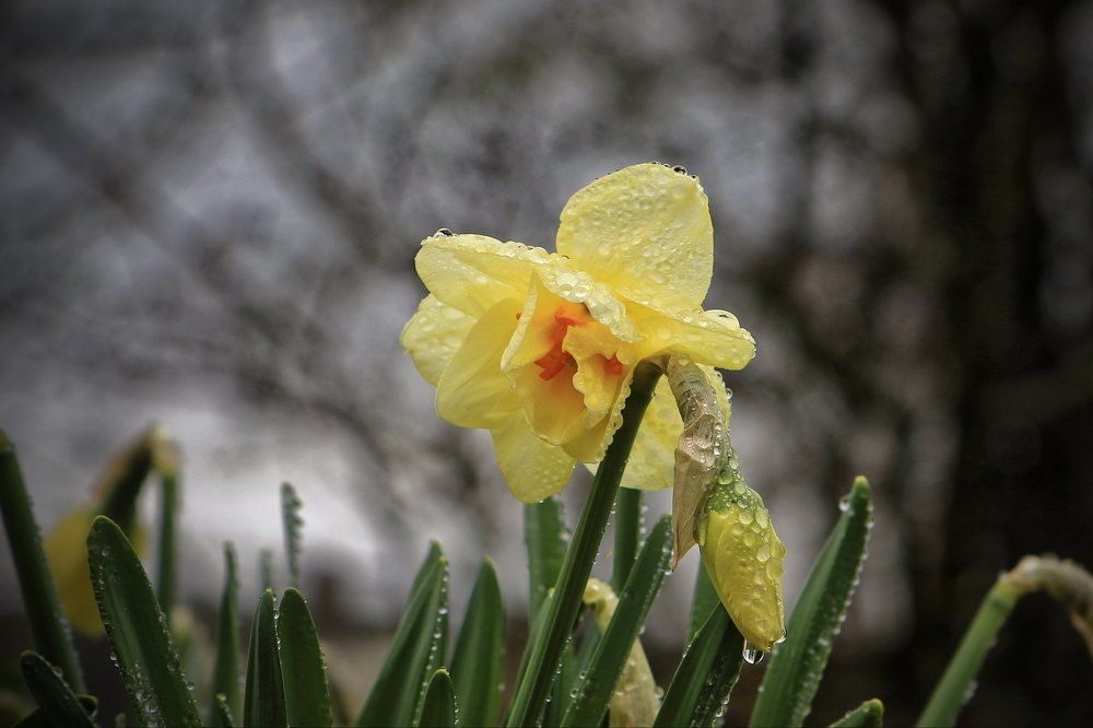 Луч света в темном царстве...