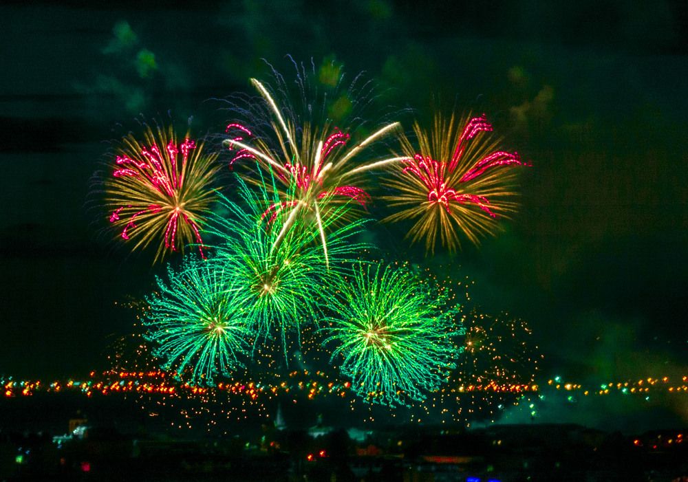 Ночная орхидея