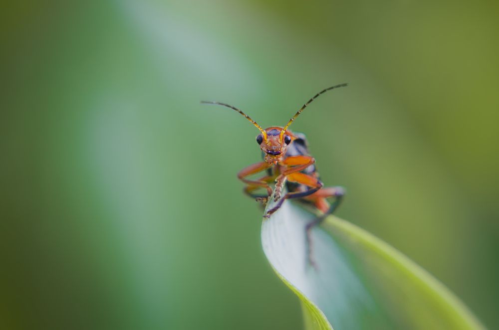 Photograph by Ekaterina Fadeeva