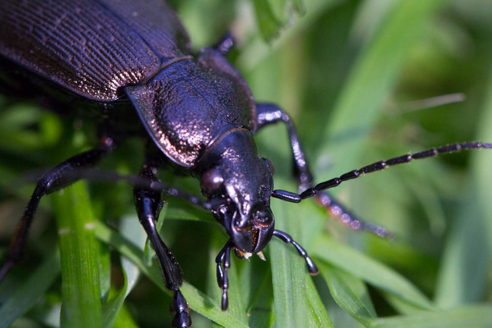 Photograph by Ольга Никифорова