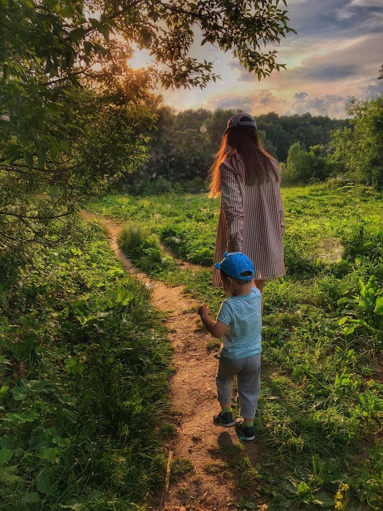 Лесная чаща