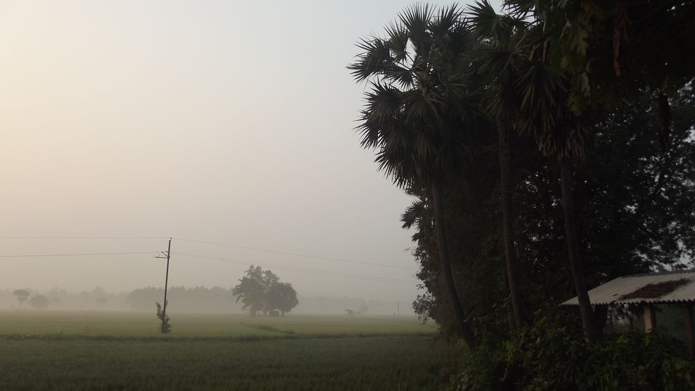 first day Landscape