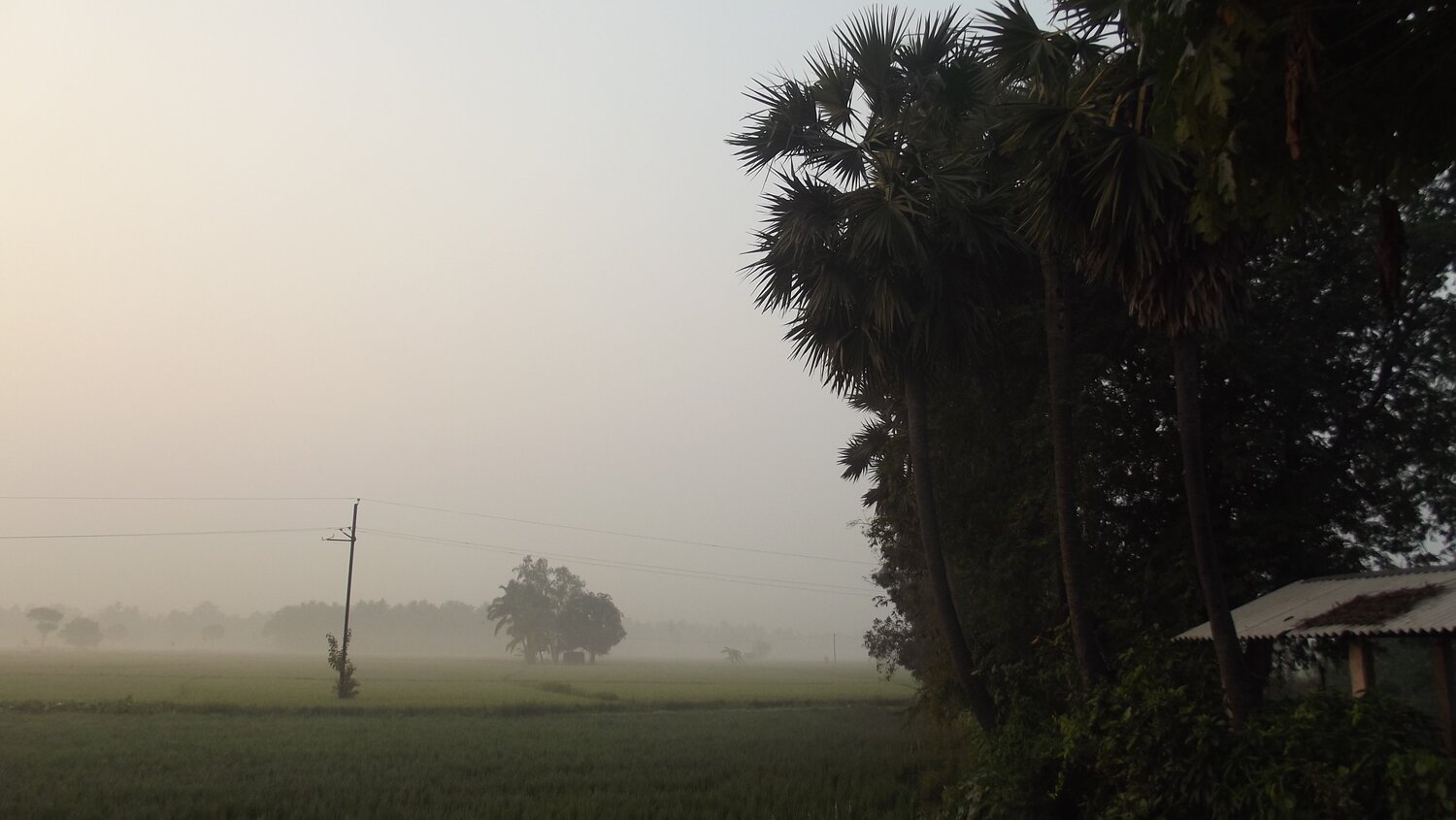first day Landscape