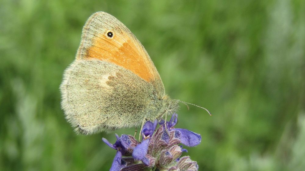 Фотография автора Валерия Шевченко