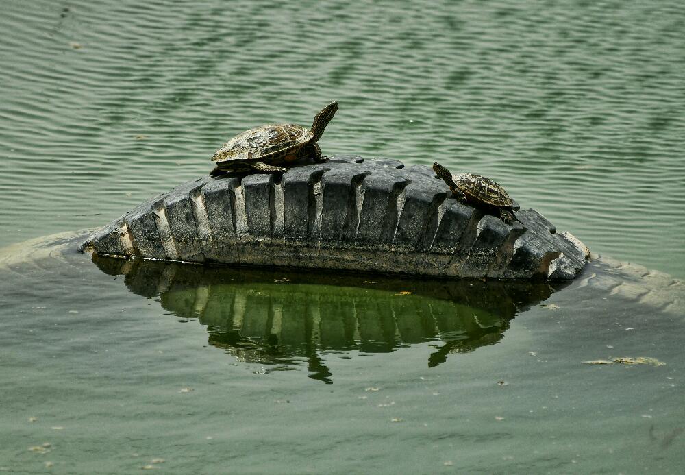 Photograph by Adl Abdolahi