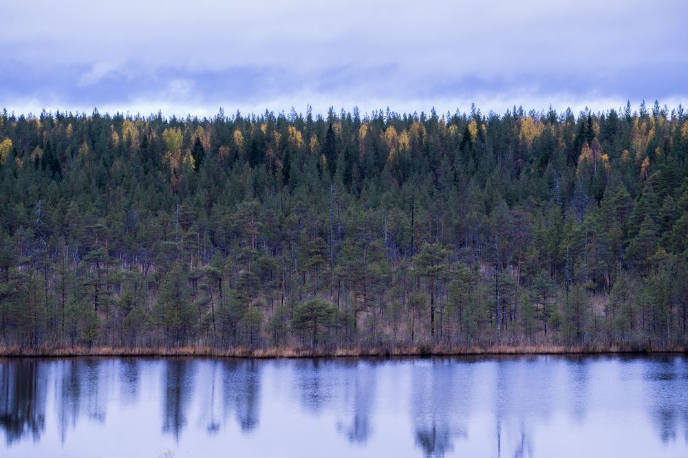 Небоголубой, Карельскозеленый, Ладожскосиний