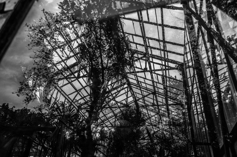 Photograph by Andrew Mikhaylov