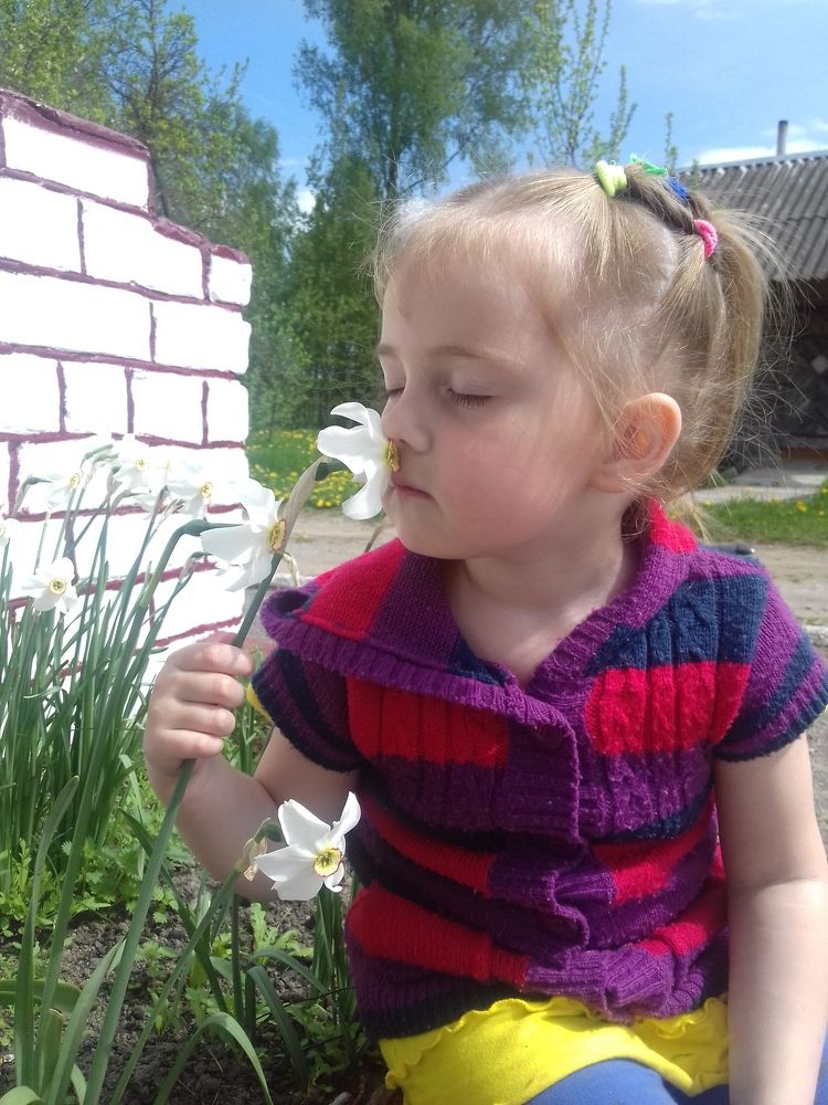 Photo #2761597
