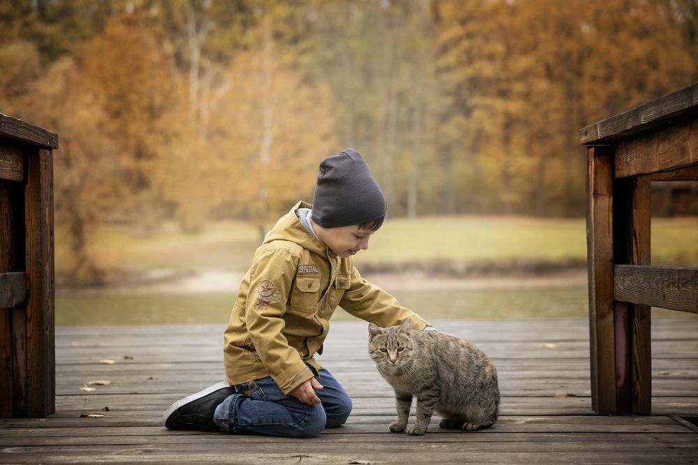 Мальчик и кот