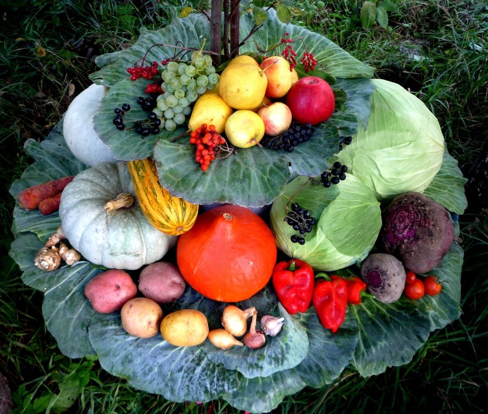 ФРУКТЫ, ЯГОДЫ И ОВОЩИ РОССИИ