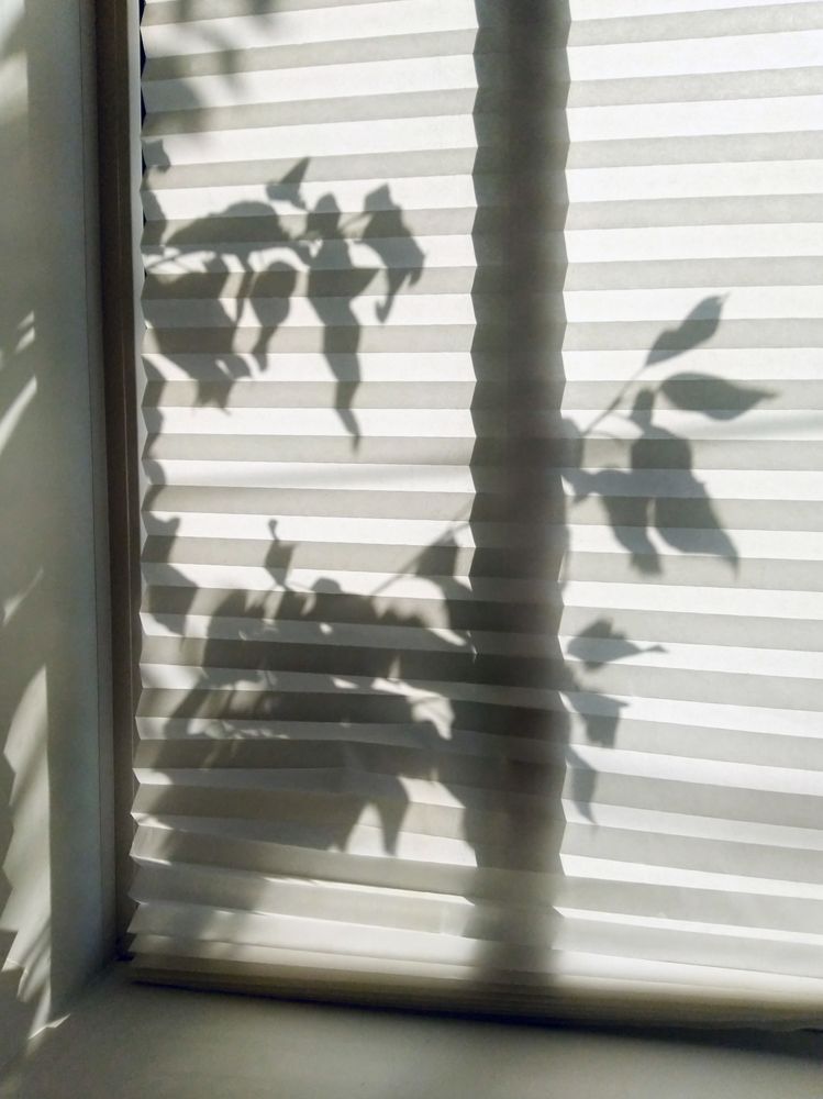 Рассвет в окне