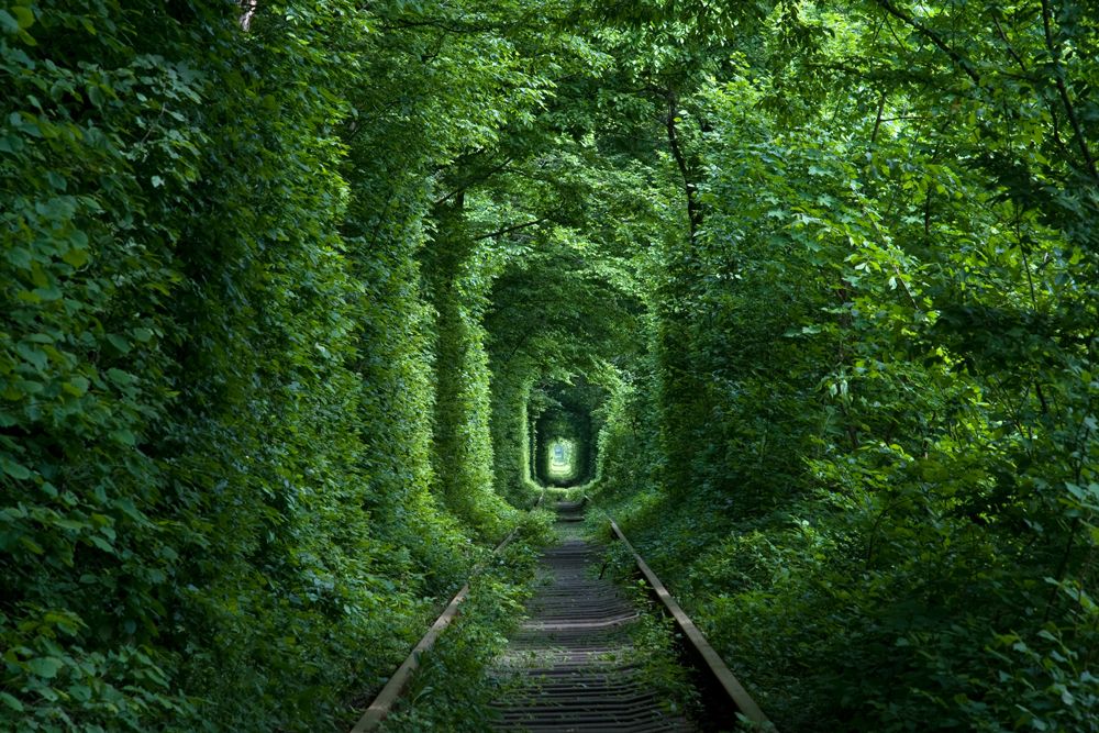 Туннель любви...