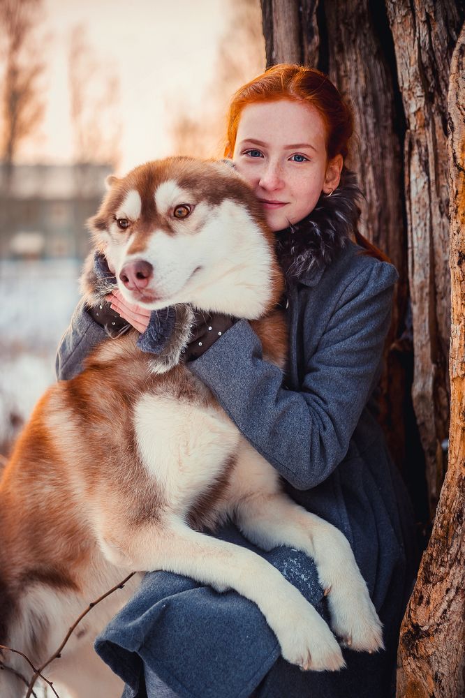 Фотография автора Софья Сергина