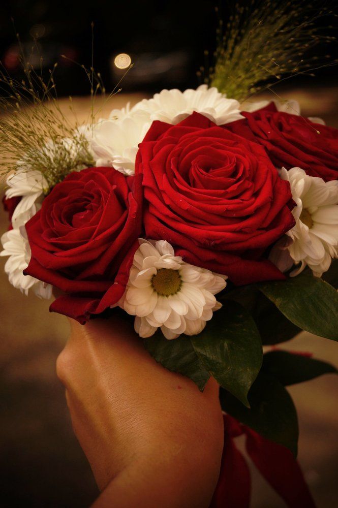 Бордовое и белое