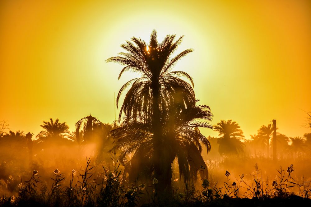 Photograph by Morteza Hekmat Maram