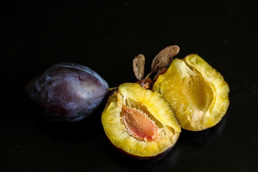 Photograph by Oksana Drymalyk