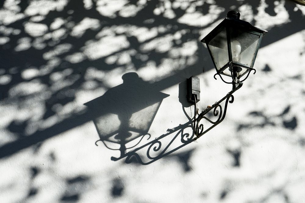 Photograph by Svetlana Guzeeva