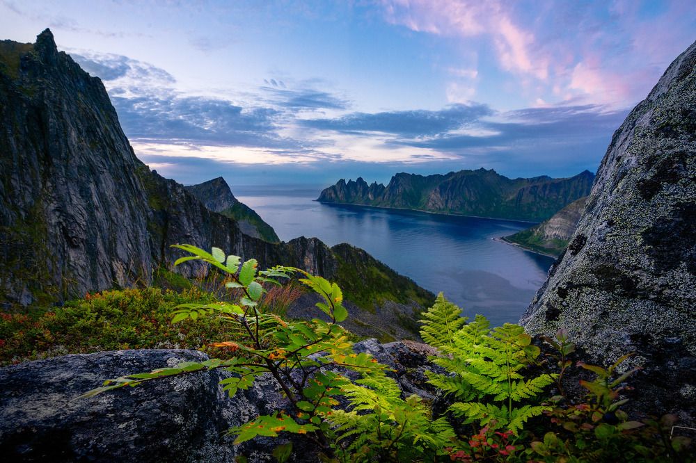 Senja, The Fairy Tale Island