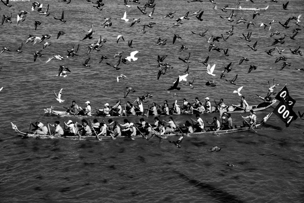 Racing boat and Birds