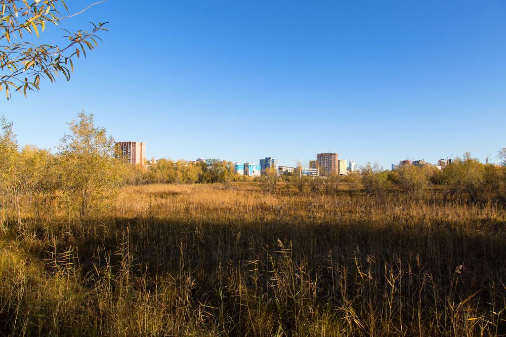 Начало осени.