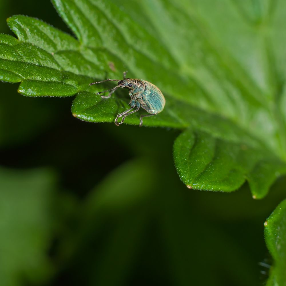 Photograph by Михаил Агульник