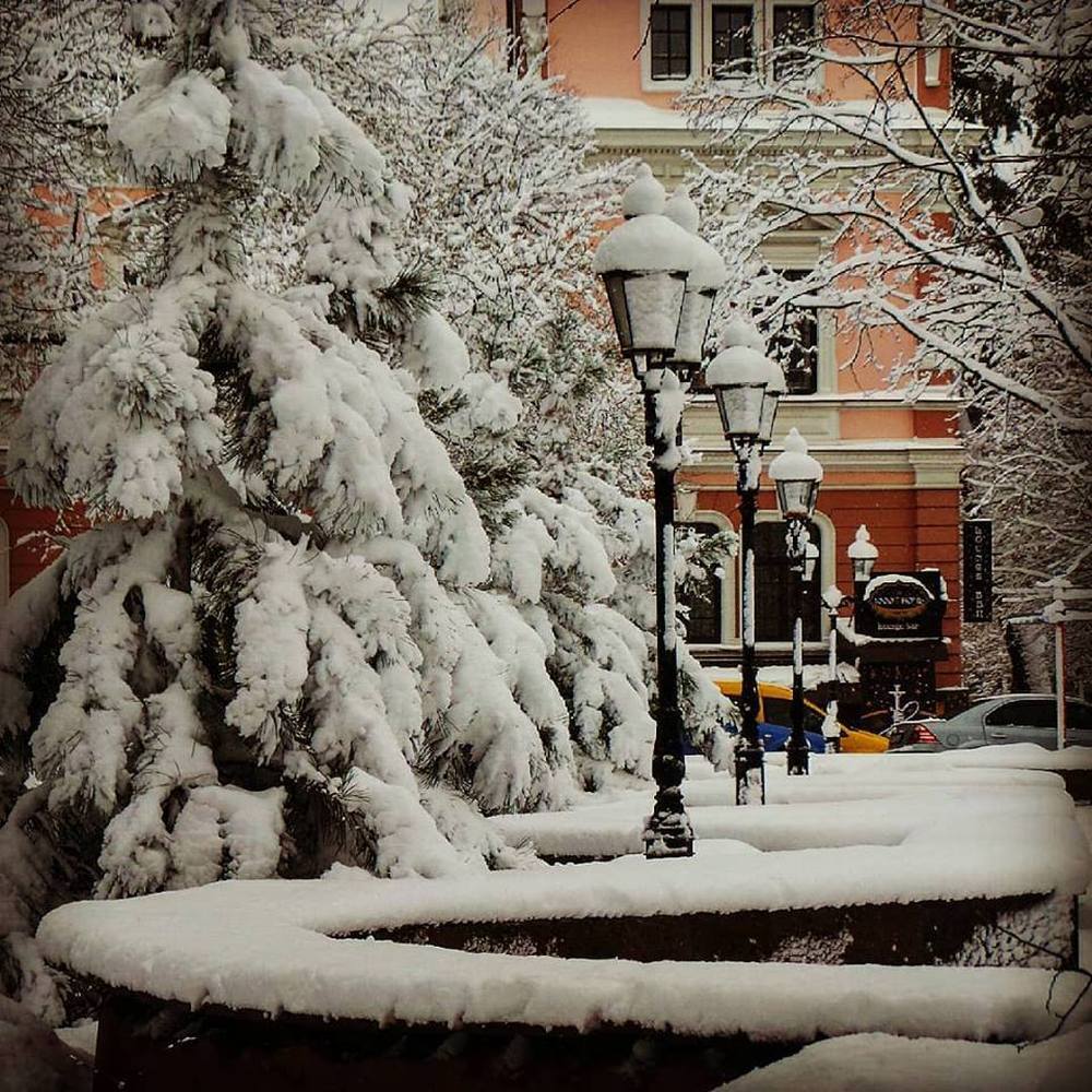 Зимняя сказка