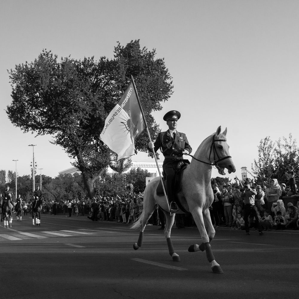 Конный парад