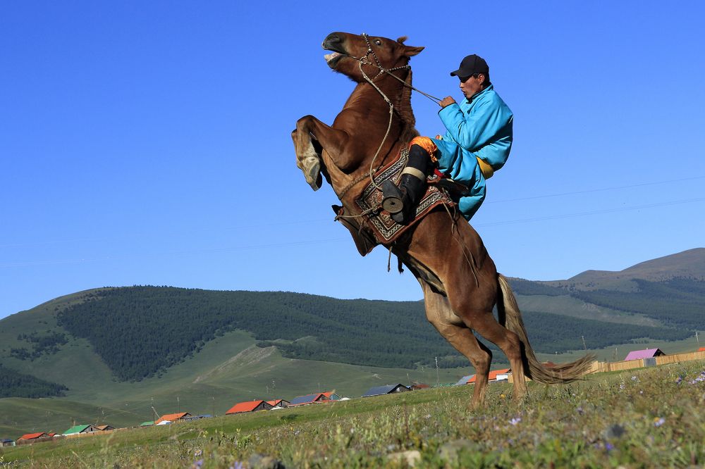 Молодая гордость