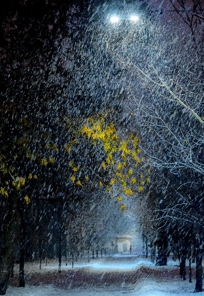 Снежное утро